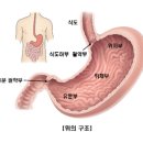 오은영 리포트 배그 부부 위암 투병 감동 사연 이미지