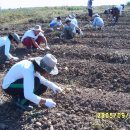 용정농장 이미지