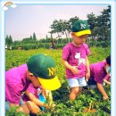 만석군농장 이미지