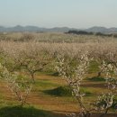 염치농장 이미지