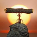 YOLO(욜로)민박 이미지