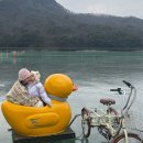 6135 | 경기도 포천 아기랑 갈 만한 곳 | 산정호수 러버덕 오리썰매축제 방문 후기