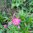 승희농장 이미지