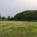 근덕초등학교궁촌분교장 네이버블로그
