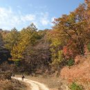 수도녹색숲모티길 이미지