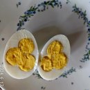 블랙팜영농조합법인 | 우리 맛닭 병아리 분양(2026년 1월 6일)