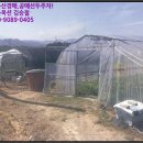 성주군대가면용흥보건진료소 이미지