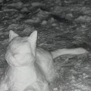 내린천 다락방 이미지