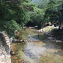 D14 | 월악산 국립공원 닷돈재캠핑존 (자동차, 풀옵션) 신규 개장