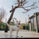 (주)코리아세븐 덕평휴게소점 | 4월 셋째 주 일상