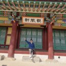 옛뜨락 | 강원도 영월 왕과 사는 남자 단종 유배지 관풍헌 답사 후기 주차 정보 남깁니다