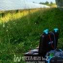 청산태양광발전소 이미지