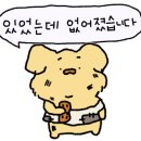 참치한판 이미지