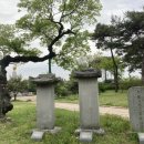 유당공원 내 비군 이미지