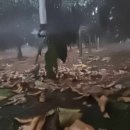 철이농장 이미지