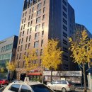 서구-01-77 이미지