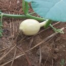 동산슈퍼 이미지