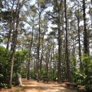 수원 광교산-백운산 연계 등산(경기대정문-형제봉-비로봉-시루봉-백운산-광교공원주차장)_3 이미지