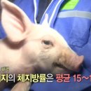 요리조리 이미지