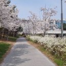 어진동_세종뱅크빌딩2 이미지