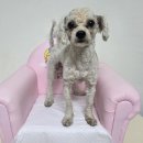 완월동225 이미지