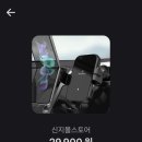 신지몰