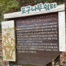 희망정 | [여행] 부산 서구 / 암남공원 / 절벽의 절경과 평온함의 산책로가 있는 걷기 좋은 공원.