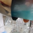 블루버드(Blue bird) 이미지