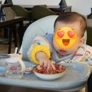 중화요리홍콩 | 제주홍콩식중화요리 '화란' 동파육덮밥·우육면 후기 | 제주 중식 맛집 추천