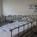 지내권역 | 울산대학교병원 외상병동 1인실 입원비 및 상세 후기