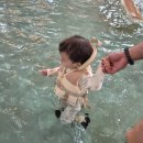 웅진태권도장 | 웅진플레이도시 워터파크 7월 성수기 토요일 오픈런 20개월 아기랑 후기