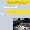 페트롤스테이션