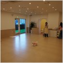 뽀미 애견 미용샵 이미지