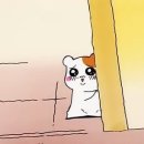 연애하는 청춘 이미지