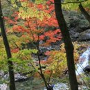 피아골 단풍공원 이미지