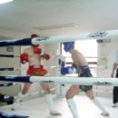 태산체육관 이미지