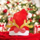 주식회사 셀프트리 이미지