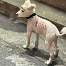 압량파출소 이미지