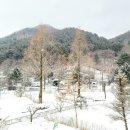 계곡풍경캠핑장 이미지