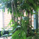 열미리보건진료소 이미지