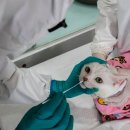 (주)서울축산 이미지