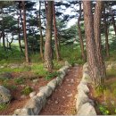 숲이좋아민박 이미지