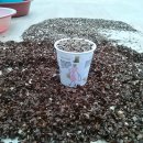 금주농장 이미지