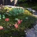 큰골민박 이미지