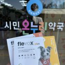 레오아빠동물약국 | 플레복스 플러스, 개 강아지 벼룩 진드기 치료제 flevox plus 파주 레오아빠 동물약국