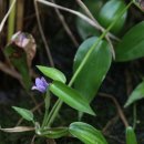 죽백6로 이미지