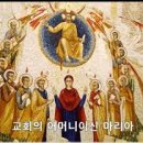 [교회의 어머니 마리아] 광장 민주주의의 뒷배, ‘어머니’ 이미지