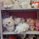 알라딘 노래연습장 이미지