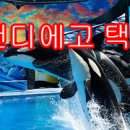 도우미항공투어 이미지