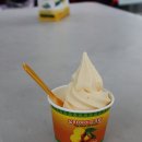 석원 이미지